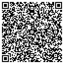 QR code with Purple Onion contacts