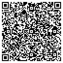 QR code with Carlsens Custom T's contacts