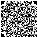 QR code with Precision Action Co contacts