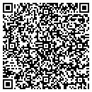 QR code with City Bowl Express II contacts