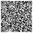 QR code with Pulaski Furniture contacts