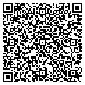 QR code with Gallow contacts