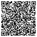 QR code with Scoots contacts