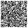 QR code with Volume contacts