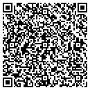 QR code with Project Dance Studio contacts