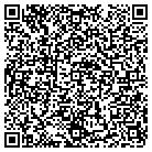QR code with Baldwin Technology Co Inc contacts