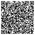 QR code with Figlio contacts