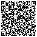 QR code with Zulily contacts