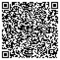 QR code with Moseys contacts