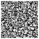 QR code with Clarence J Gibbs Dvm contacts