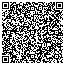 QR code with Pulse Dance Center contacts