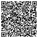 QR code with Patina contacts