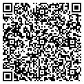 QR code with Solynx contacts