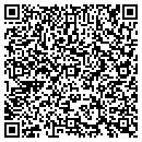 QR code with Carter Hayes & Assoc contacts