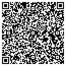 QR code with Premier Homes contacts