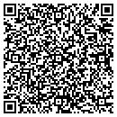 QR code with Steinle Corp contacts