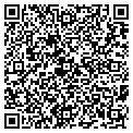 QR code with Gucino contacts