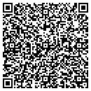 QR code with Pulcinella contacts