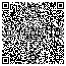 QR code with Premium Title Group contacts