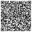 QR code with Cyclone Microsystems Inc contacts