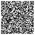 QR code with Dawn's contacts
