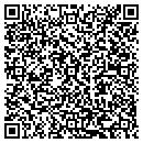 QR code with Pulse Dance Studio contacts