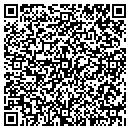 QR code with Blue Willi's USA Inc contacts