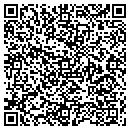 QR code with Pulse Dance Center contacts