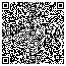 QR code with Problem Title contacts