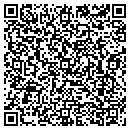 QR code with Pulse Dance Studio contacts