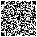 QR code with Pulaski Bikes LLC contacts