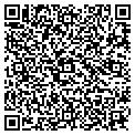 QR code with Studio contacts