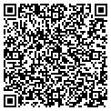 QR code with Dugout contacts