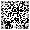 QR code with Wasabi contacts