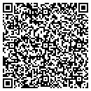 QR code with Puzzle Rings By Pepi contacts
