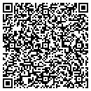 QR code with Pyramid Sound contacts