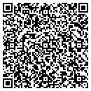 QR code with Pyramid Abstract CO contacts