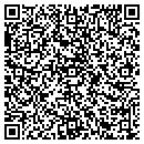 QR code with Pyrianos Collections Inc contacts