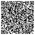 QR code with Disco Journey contacts