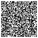 QR code with Punisher Lures contacts