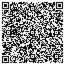QR code with Brian's Auto Service contacts