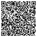 QR code with Pelayo contacts