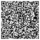 QR code with Blue Duck Machine LLC contacts