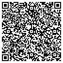 QR code with Bluegrass Controls Inc contacts