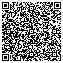 QR code with Pulaski Title CO contacts