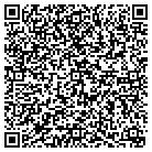 QR code with Pulsecare Corporation contacts