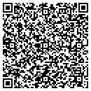 QR code with Public Storage contacts