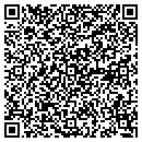 QR code with Celvive Inc contacts