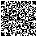 QR code with Public Abstract Corp contacts