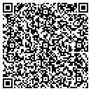 QR code with Premiere Dance Studio contacts